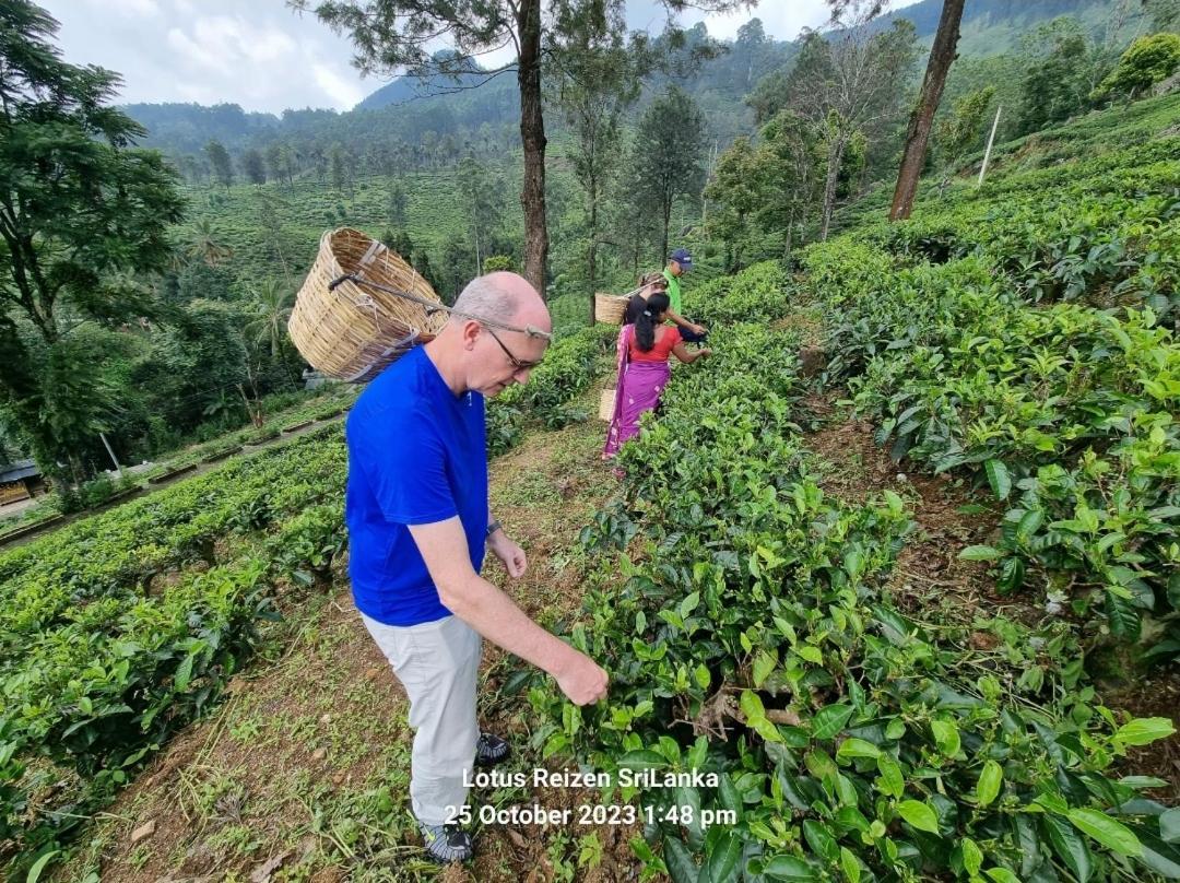 Lotus Villa Kandy Peradeniya Ngoại thất bức ảnh